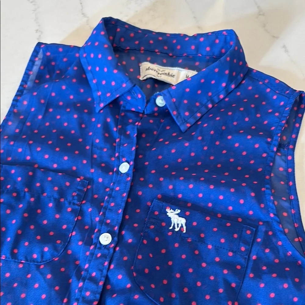 Abercrombie Kids Blue Button Down Shirt with Red Accents